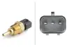 Coolant temperature sensor. Датчик температуры охлаждающей жидкости HELLA PAGID 6PT009309621 (фото 1)