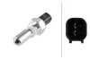 Reverse light switch. Выключатель фонаря заднего хода HELLA PAGID 6ZF010965031 (фото 1)