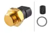 Radiator fan temperature switch. Датчик температуры вентилятора охлаждающей жидкости HELLA PAGID 6ZT007801001 (фото 1)