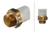 Radiator fan temperature switch. Датчик температуры вентилятора охлаждающей жидкости HELLA PAGID 6ZT007802001 (фото 1)