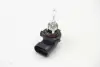 Лампа розжарювання STANDARD HB3 12V 60 (65W) P 20d HELLA PAGID 8GH005635121 (фото 1)