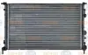 Радиатор Renault Megan 1.6, 1.9, 2.0 96 - 03 HELLA PAGID 8MK 376 717-451 (фото 5)