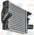 Интеркулер Mercedes V-Class, Vito 2.0 2.3 97-03;Vito Фургон 2.0 2.3 96-03 HELLA PAGID 8ML 376 724-121 (фото 6)