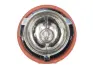 Лампочка з патроном H10 12V Ba9s BMW HELLA PAGID 9DX 153 746-011