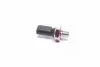 Датчик тиску масла AUDI, FORD, SEAT, SKODA, VW (вир-во Elparts) HERTH BUSS 70541068 (фото 1)