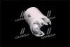 Фільтр паливний (вир-во Jakoparts) HERTH BUSS J1335060 (фото 1)