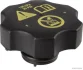 Кришка радіатора Jeep Compass 2 16-, Opel Astra K -21 (вир-во Jakoparts) HERTH BUSS J1540901 (фото 1)