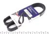 Ремінь генератора Ford Escort 1.4/MB OM601/602 -96 (6PK1015) HUTCHINSON 1015K6 (фото 1)