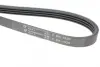 Ремінь генератора Suzuki Grand Vitara 2.5 V6/2.7 4x4 98-03 HUTCHINSON 1020K4 (фото 4)
