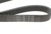 Ремінь генератора BMW 3 (E90)/Opel Movano 2.0i/2.5DTI 03- (7PK1099) HUTCHINSON 1099K7 (фото 5)