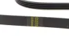 Ремінь генератора Fiat/Lancia/Nissan/Subaru (4PK1100) HUTCHINSON 1100K4 (фото 2)