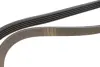 Ремінь генератора Renault Kangoo 1.4i 98-/ 1.6i 02- (5PK1110) HUTCHINSON 1110K5 (фото 3)