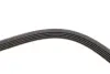 Ремінь генератора Renault Kangoo 1.4i 98-/ 1.6i 02- (5PK1110) HUTCHINSON 1110K5 (фото 4)