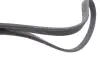 Ремінь генератора VW T5 1.9TDI/VW Caddy III 1.9TDI/2.0 (6DPK1195) HUTCHINSON 1195KDF6 (фото 2)