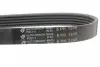 Ремінь генератора Mitsubishi Lancer 1.6 10- HUTCHINSON 1245K5 (фото 3)