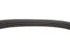 Ремінь генератора Fiat Scudo/Opel Combo 1.7D/DTI/2.0D 01- (6PK1247) HUTCHINSON 1247K6 (фото 3)