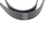 Ремінь генератора VW T4 2.8VR6 00-03 (7PK1281) HUTCHINSON 1281K7 (фото 2)