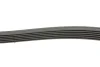 Ремінь генератора VW Golf/VW Bora 2.3 -00 (6PK1285) HUTCHINSON 1285 K 6 (фото 2)