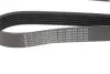 Ремінь генератора Fiat Doblo 1.3D Multijet/1.3JTD/Ford Focus 1.8/2.0 04- (6PK1310) HUTCHINSON 1310K6 (фото 2)