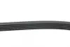 Ремінь генератора Opel Corsa D 1.2/1.4 06-14 (5PK1335) HUTCHINSON 1335K5 (фото 2)
