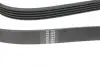 Ремінь генератора Opel Corsa D 1.2/1.4 06-14 (5PK1335) HUTCHINSON 1335K5 (фото 3)