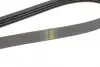 Ремінь генератора Toyota Land Cruiser 200 4.5 D-4D 07- HUTCHINSON 1389K4 (фото 3)