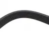 Ремінь генератора BMW X5 (F15/F85)/ X6 (F16/F86) 3.5i 13- HUTCHINSON 1389K8 (фото 4)
