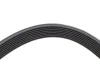 Ремінь генератора BMW 3 (F30/F80)/5 (F10)/ X5 (F15/F85)/ X6 (F16/F86) 13- (8PK1392) (N55) HUTCHINSON 1392 K 8TK (фото 5)