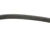 Ремінь генератора Ford Transit 2.0 94-00 (6PK1414) HUTCHINSON 1414K6 (фото 2)