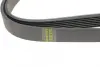 Ремінь генератора BMW 5 (E39)/7 (E38) 3.5i/4.0i 93-04 HUTCHINSON 1626K7 (фото 3)