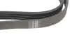 Ремінь генератора VW LT 2.8TDI 96KW/Ford Transit 2.0DI 00- (6PK1640) HUTCHINSON 1640K6 (фото 4)