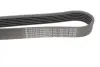Ремінь генератора VW LT 2.8TDI 96KW/Ford Transit 2.0DI 00- (6PK1640) HUTCHINSON 1640K6 (фото 5)