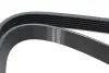 Ремінь генератора Fiat Scudo/Citroen Berlingo/VW Golf IV 1.8/1.9TDI 97- (6PK1660) HUTCHINSON 1660 K 6 (фото 2)