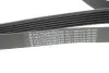 Ремінь генератора Citroen Berlingo 1.9D/ VW LT 2.8TDI 116KW (6PK1682) HUTCHINSON 1682K6 (фото 2)
