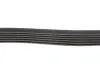 Ремінь генератора Citroen Berlingo 1.9D/ VW LT 2.8TDI 116KW (6PK1682) HUTCHINSON 1682K6 (фото 3)