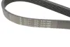 Ремінь генератора VW T4 2.5TDI (6PK1692) HUTCHINSON 1692K6 (фото 5)