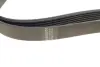 Ремінь генератора VW LT 2.5TDI -06/T4 2.5 91-03/Ford Connect 1.8 TDCi 02-07 (6PK1718) HUTCHINSON 1718K6 (фото 3)
