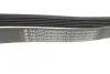 Ремінь генератора VW LT 2.5TDI -06/T4 2.5 91-03/Ford Connect 1.8 TDCi 02-07 (6PK1718) HUTCHINSON 1718K6 (фото 4)