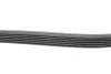 Ремінь генератора VW Caddy III/Fiat Scudo 1.4/1.4TSI 03- HUTCHINSON 1736 K 6 (фото 2)