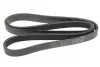 Ремінь генератора MB W202/210 M111/Ford Transit 2.301-06 (6PK1775) HUTCHINSON 1775K6 (фото 1)