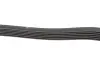Ремінь генератора MB W202/210 M111/Ford Transit 2.301-06 (6PK1775) HUTCHINSON 1775K6 (фото 3)