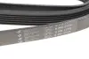 Ремінь генератора MB W202/210 M111/Ford Transit 2.301-06 (6PK1775) HUTCHINSON 1775K6 (фото 5)