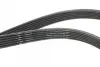 Ремінь генератора Volvo 2.0T/2.4D/3.0T6 01-08 HUTCHINSON 1825KDF6 (фото 2)