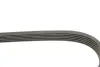 Ремінь генератора Renault Master 2.2/2.5 dCi 00- (6PK1836) HUTCHINSON 1836K6 (фото 3)