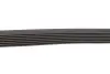 Ремінь генератора MB Sprinter 3.0CDI OM642 (7PK2035) HUTCHINSON 2035K7 (фото 4)