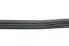 Ремінь генератора Honda Accord VIII 2.0 I 08-/ Land Rover Range Rover II 3.9-4.6 94-02 HUTCHINSON 2080K7 (фото 2)