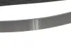 Ремінь генератора Honda Accord VIII 2.0 I 08-/ Land Rover Range Rover II 3.9-4.6 94-02 HUTCHINSON 2080K7 (фото 3)