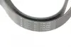 Ремінь генератора Honda Accord VIII 2.0 I 08-/ Land Rover Range Rover II 3.9-4.6 94-02 HUTCHINSON 2080K7 (фото 4)