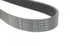 Ремінь генератора Land Rover Range Rover Sport 2.7D 05-13 HUTCHINSON 2090K8 (фото 4)