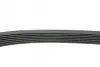 Ремінь генератора Land Rover/Toyota Land Cruiser 120 4.0i/4.6 94- HUTCHINSON 2120K7 (фото 2)